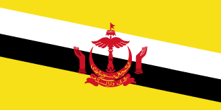 Brunei Darussalam eSIM for travel mobile data plan
